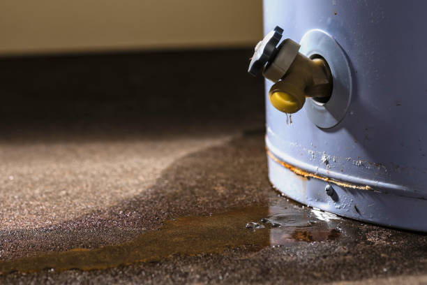 Best Water damage cleanup near me  in Stanberry, MO