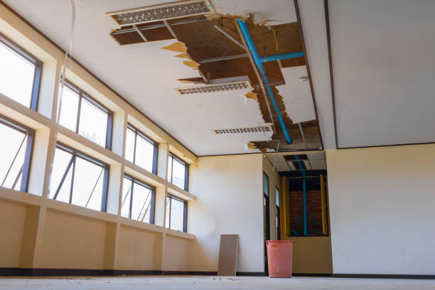 Best 24/7 water damage repair  in Stanberry, MO