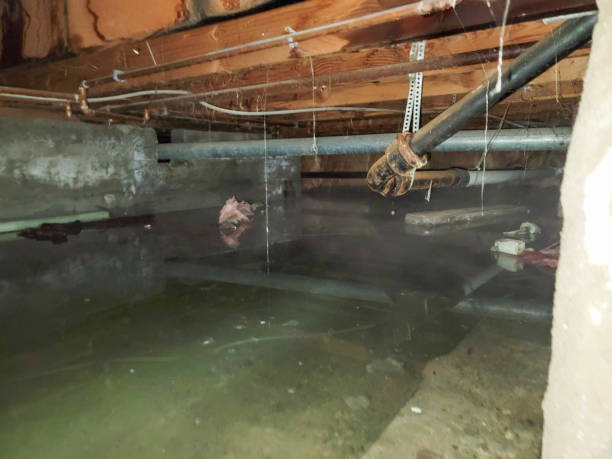 Best Water damage cleanup near me  in Stanberry, MO