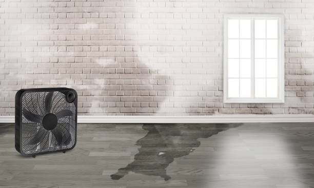 Best Emergency water damage restoration  in Stanberry, MO