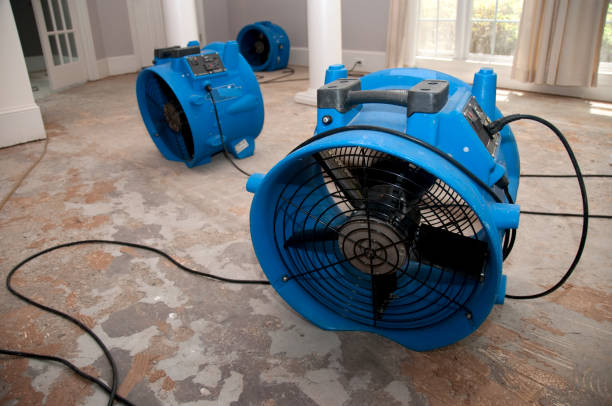 Best Water damage restoration mold remediation  in Stanberry, MO