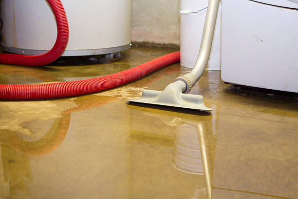 Best Water damage restoration experts  in Stanberry, MO