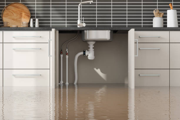 Best Residential water damage restoration  in Stanberry, MO