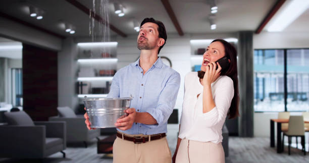 Best Ceiling water damage repair  in Stanberry, MO