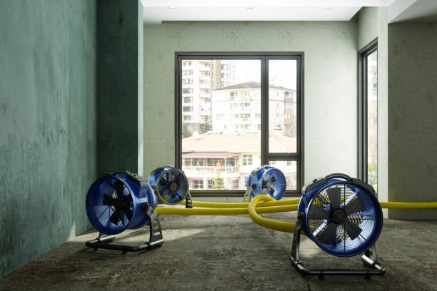 Best Basement water damage restoration  in Stanberry, MO