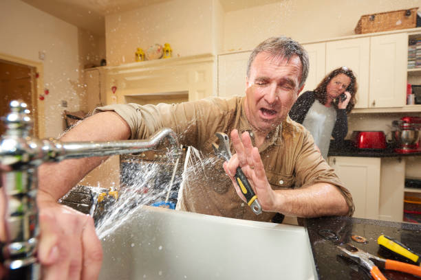 Best Carpet water damage restoration  in Stanberry, MO